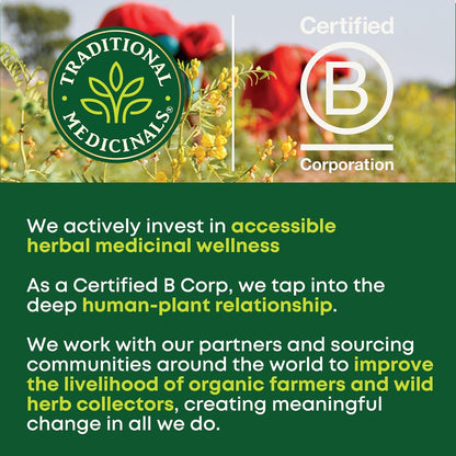 Organic, Lemon Balm - Supports Stress Relief & Digestive Health - Kosher, Non-GMO, Caffeine-Free, Compostable - 16 Tea Bags | Soothes the Digestive Tract & Promotes Respiratory Health, Kosher, Non-GMO, Caffeine-Free