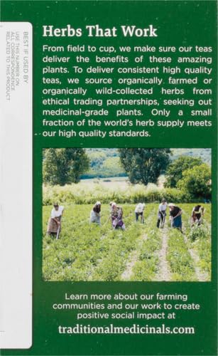 Organic, Lemon Balm - Supports Stress Relief & Digestive Health - Kosher, Non-GMO, Caffeine-Free, Compostable - 16 Tea Bags | Soothes the Digestive Tract & Promotes Respiratory Health, Kosher, Non-GMO, Caffeine-Free