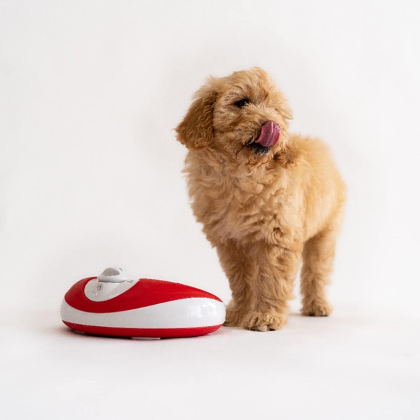 Filtered Portable Dog Water Dispenser [Upgraded 2026], 1L / 34oz, Automatic Pet Water Dispenser, No Spill, Noise-Free Dog Water Bowl Dispenser, No Power, Ideal for Small Pets