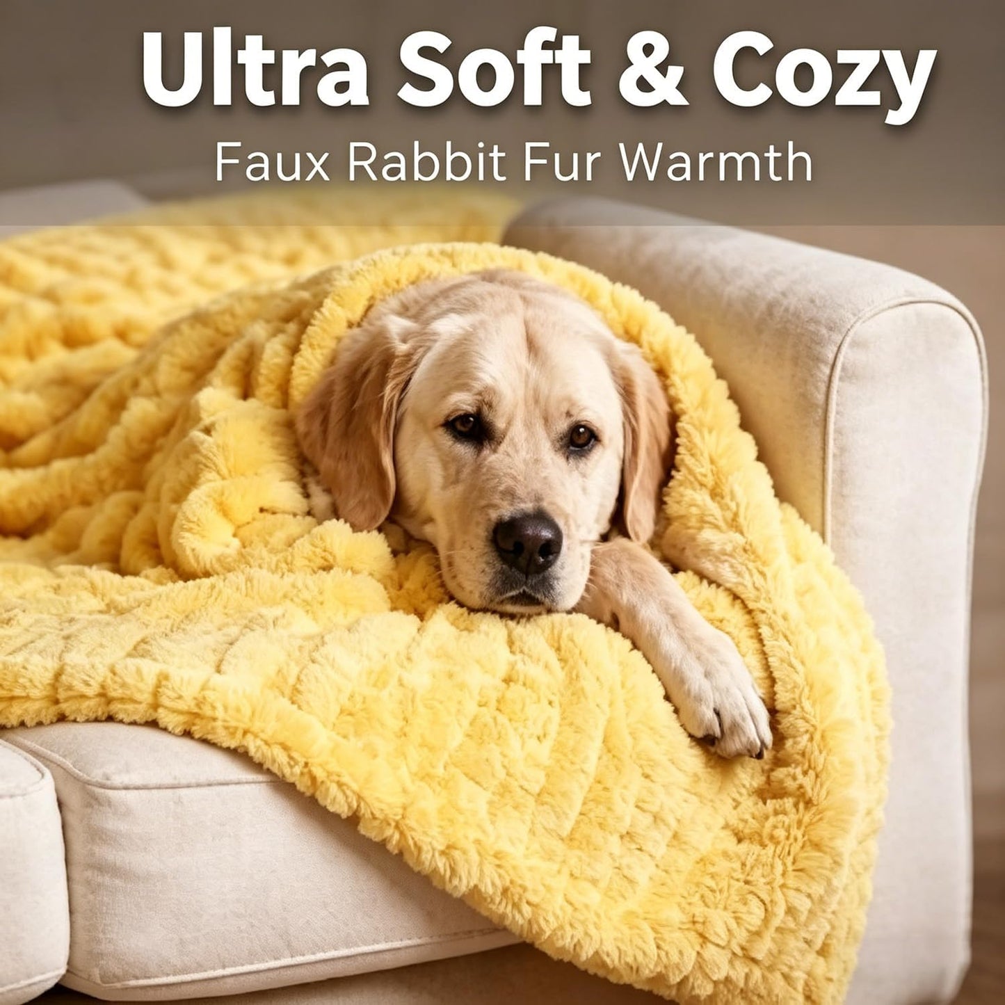 Yellow Dog Blanket, Emotional Yellow Blankets for Dog, Rabbit Hair Plush, Designed for Pets, Soft and Comfortable for Indoors Sofa, Kennel (70×100cm/27.56×39.37in)