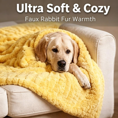 Yellow Dog Blanket, Emotional Yellow Blankets for Dog, Rabbit Hair Plush, Designed for Pets, Soft and Comfortable for Indoors Sofa, Kennel (70×100cm/27.56×39.37in)