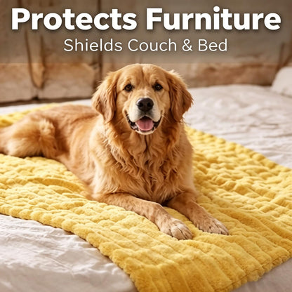 Yellow Dog Blanket, Emotional Yellow Blankets for Dog, Rabbit Hair Plush, Designed for Pets, Soft and Comfortable for Indoors Sofa, Kennel (70×100cm/27.56×39.37in)