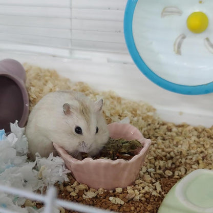 Small Ceramic Hamster Bowl, Easy to Clean Anti Flipping Hamsters Food and Water Bowl, Small Animal Bowls for Dwarf Hamster, Parrots (Yellow+Green, s,2pcs)