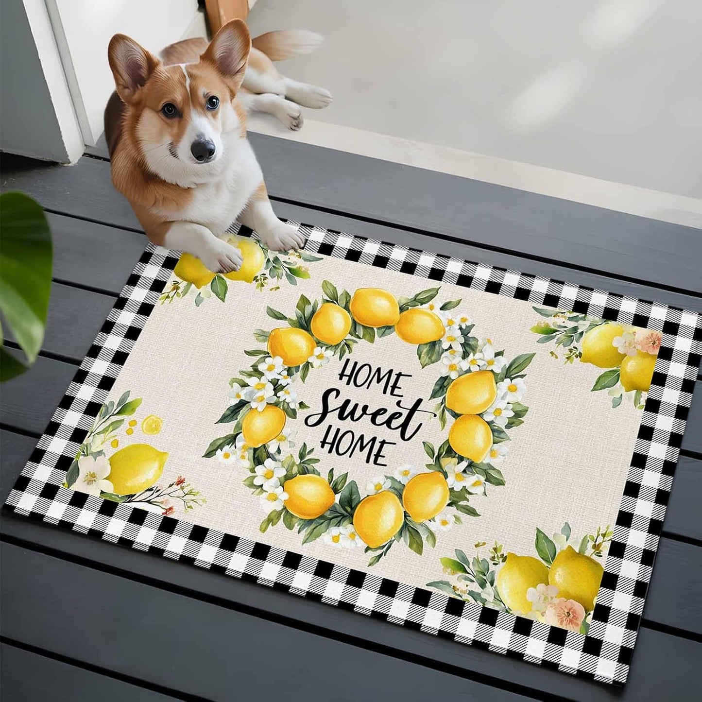 Lemon Entryway Rug 2'x3', Farmhouse Yellow Fruit Small Area Rug Non-Slip Front Door Mat Washable Floor Carpet for Indoor Entrance Kitchen Bathroom