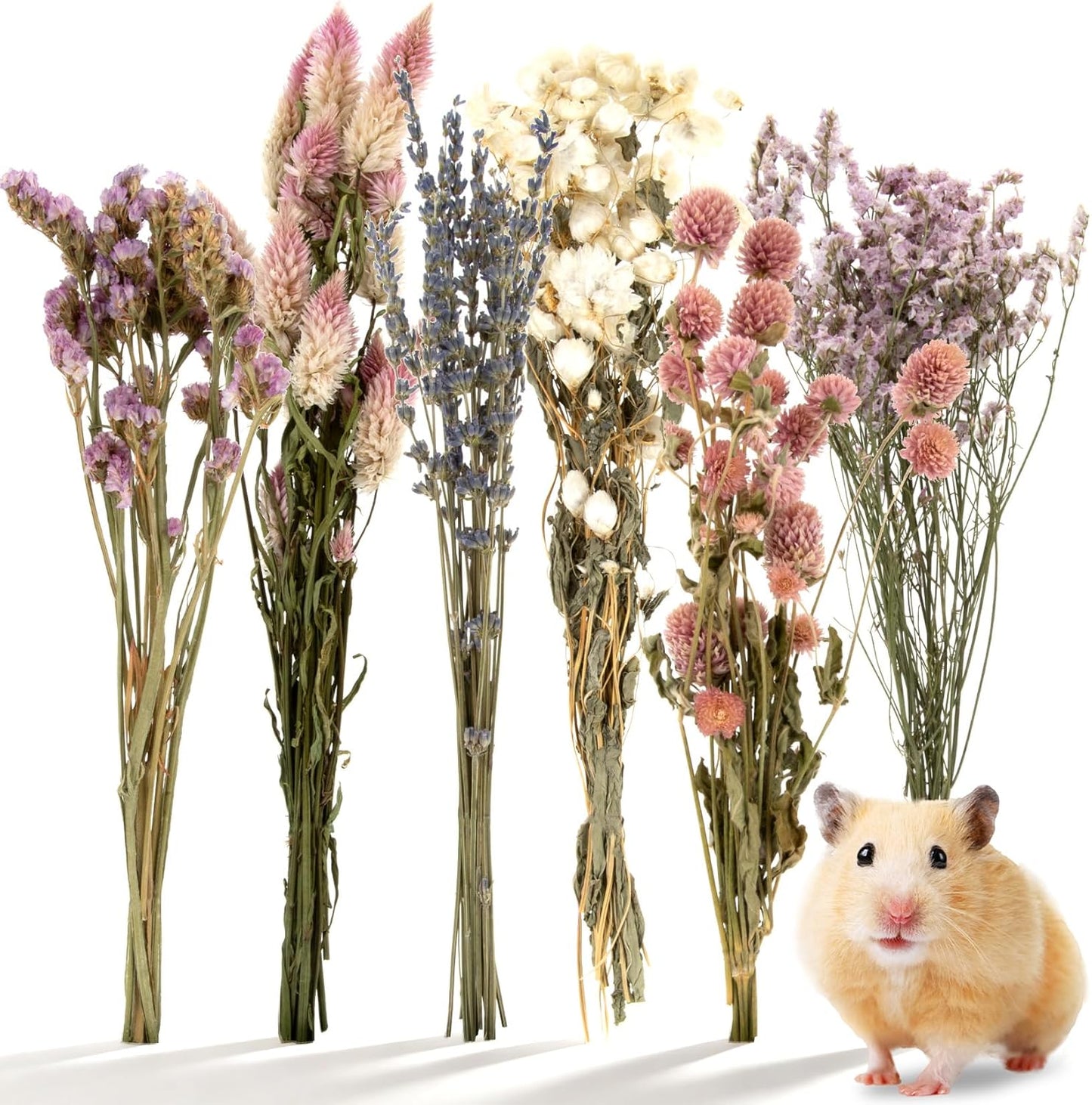 42Pcs Hamster Sprays Natural - Sprays & Forage for Small Animals | Chew Herbs for Syrian Dwarf Hamsters & Guinea Pigs, Habitat Dry Flowers Decor, Hideout Enrichment, Cage & Bedding Accessories