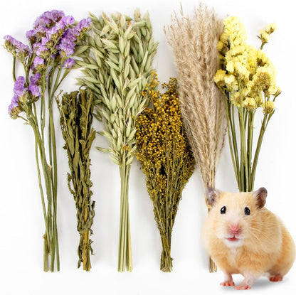 42Pcs Hamster Sprays Natural - Sprays & Forage for Small Animals | Chew Herbs for Syrian Dwarf Hamsters & Guinea Pigs, Habitat Dry Flowers Decor, Hideout Enrichment, Cage & Bedding Accessories