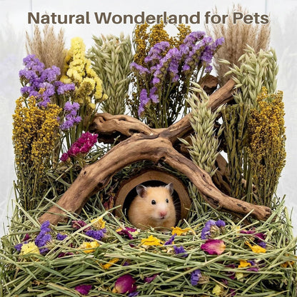 42Pcs Hamster Sprays Natural - Sprays & Forage for Small Animals | Chew Herbs for Syrian Dwarf Hamsters & Guinea Pigs, Habitat Dry Flowers Decor, Hideout Enrichment, Cage & Bedding Accessories