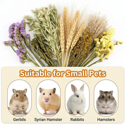 42Pcs Hamster Sprays Natural - Sprays & Forage for Small Animals | Chew Herbs for Syrian Dwarf Hamsters & Guinea Pigs, Habitat Dry Flowers Decor, Hideout Enrichment, Cage & Bedding Accessories
