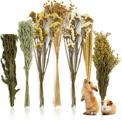 42Pcs Hamster Sprays Natural - Sprays & Forage for Small Animals | Chew Herbs for Syrian Dwarf Hamsters & Guinea Pigs, Habitat Dry Flowers Decor, Hideout Enrichment, Cage & Bedding Accessories