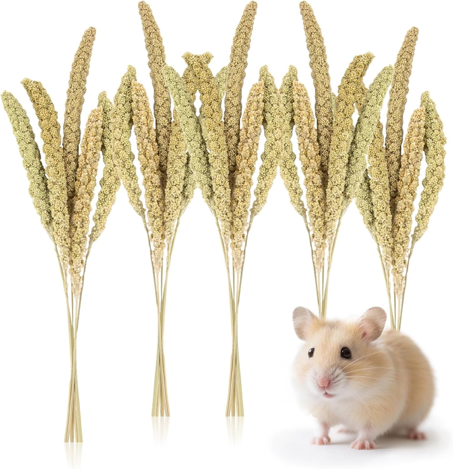 42Pcs Hamster Sprays Natural - Sprays & Forage for Small Animals | Chew Herbs for Syrian Dwarf Hamsters & Guinea Pigs, Habitat Dry Flowers Decor, Hideout Enrichment, Cage & Bedding Accessories