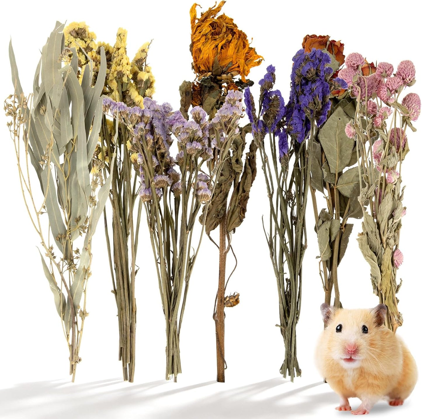 42Pcs Hamster Sprays Natural - Sprays & Forage for Small Animals | Chew Herbs for Syrian Dwarf Hamsters & Guinea Pigs, Habitat Dry Flowers Decor, Hideout Enrichment, Cage & Bedding Accessories