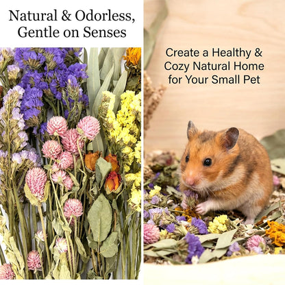 42Pcs Hamster Sprays Natural - Sprays & Forage for Small Animals | Chew Herbs for Syrian Dwarf Hamsters & Guinea Pigs, Habitat Dry Flowers Decor, Hideout Enrichment, Cage & Bedding Accessories