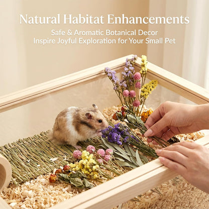 42Pcs Hamster Sprays Natural - Sprays & Forage for Small Animals | Chew Herbs for Syrian Dwarf Hamsters & Guinea Pigs, Habitat Dry Flowers Decor, Hideout Enrichment, Cage & Bedding Accessories