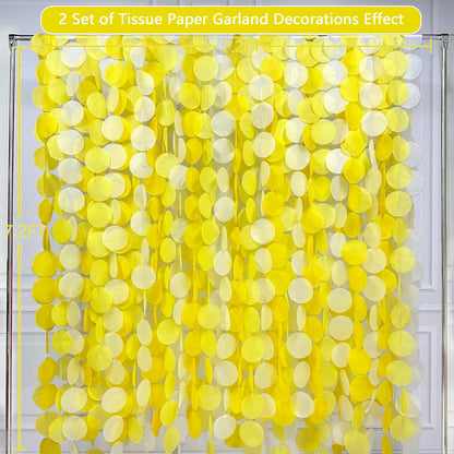192Ft Yellow Party Decorations Ombre Yellow White Big Polka Dots Backdrop Streamer Gradient Yellow Tissue Paper Circle Dot Hanging Garland for Lemon Bee Sunflower Birthday Party Supplies
