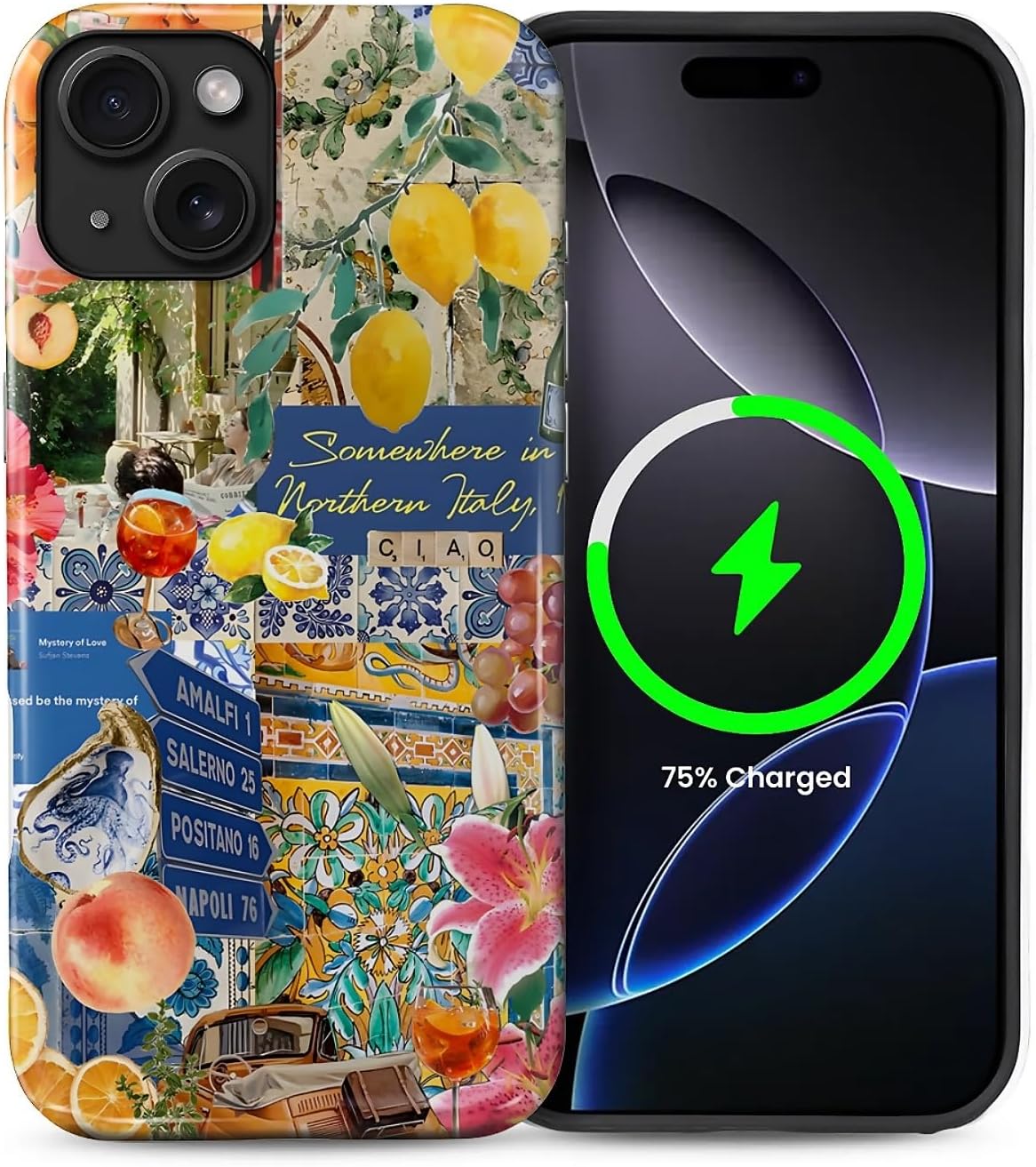 Magnetic Phone Case for iPhone 13/14,Compatible with MagSafe,Durable 2 Layers Full Covered Shockproof Protective Cover-Lemon Flower Collage