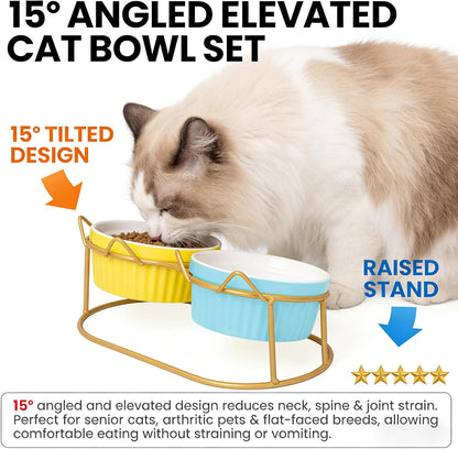 Ceramic Raised Tilted Cat Food Bowls Set - 15° Elevated Cat Food and Water Bowls for Indoor Cats/Kittens, Anti-Vomiting Pet Feeding Bowls (Non-Slip, BPA-Free)