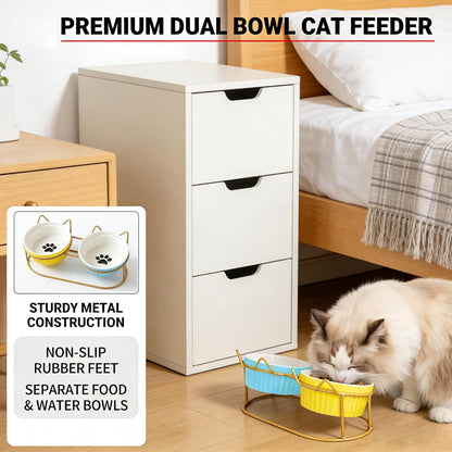 Ceramic Raised Tilted Cat Food Bowls Set - 15° Elevated Cat Food and Water Bowls for Indoor Cats/Kittens, Anti-Vomiting Pet Feeding Bowls (Non-Slip, BPA-Free)