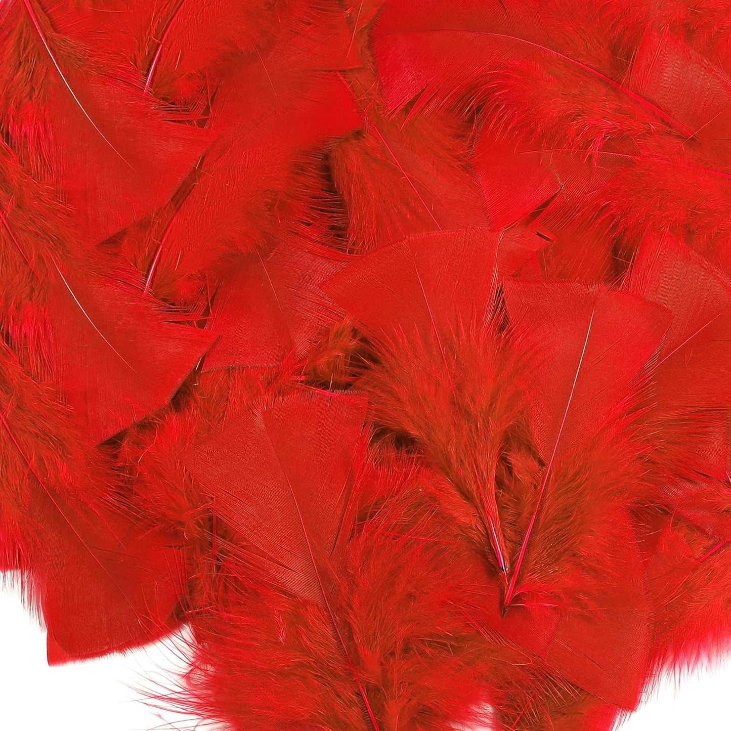 Yellow Turkey Craft Feathers Bulk for Crafts Supplies,300Pcs,3-5inch | Soft Natural Small Feathers for DIY School Crafts,Dream Catcher,Easter,Halloween,Thanksgiving Home Party and Costume Decor