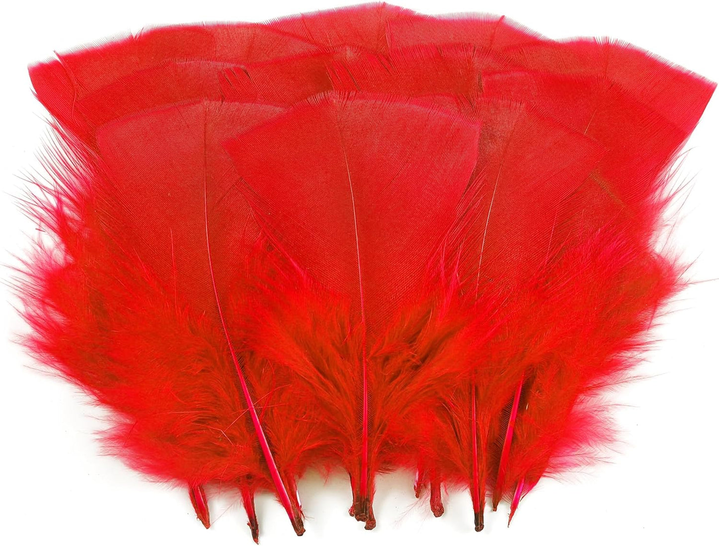 Yellow Turkey Craft Feathers Bulk for Crafts Supplies,300Pcs,3-5inch | Soft Natural Small Feathers for DIY School Crafts,Dream Catcher,Easter,Halloween,Thanksgiving Home Party and Costume Decor