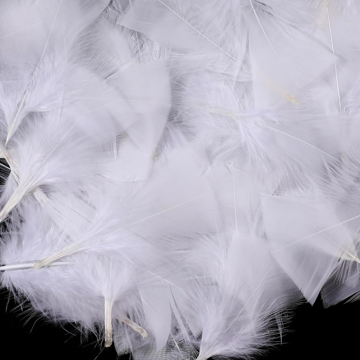 Yellow Turkey Craft Feathers Bulk for Crafts Supplies,300Pcs,3-5inch | Soft Natural Small Feathers for DIY School Crafts,Dream Catcher,Easter,Halloween,Thanksgiving Home Party and Costume Decor