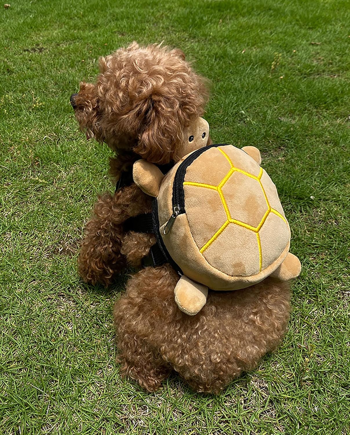 Dog Adjustable Backpack Harness with Leash Harness for Small Dogs | Cute Turtles Shape Bag Pet Carrier Backpacks for Hiking Training Daily Walking