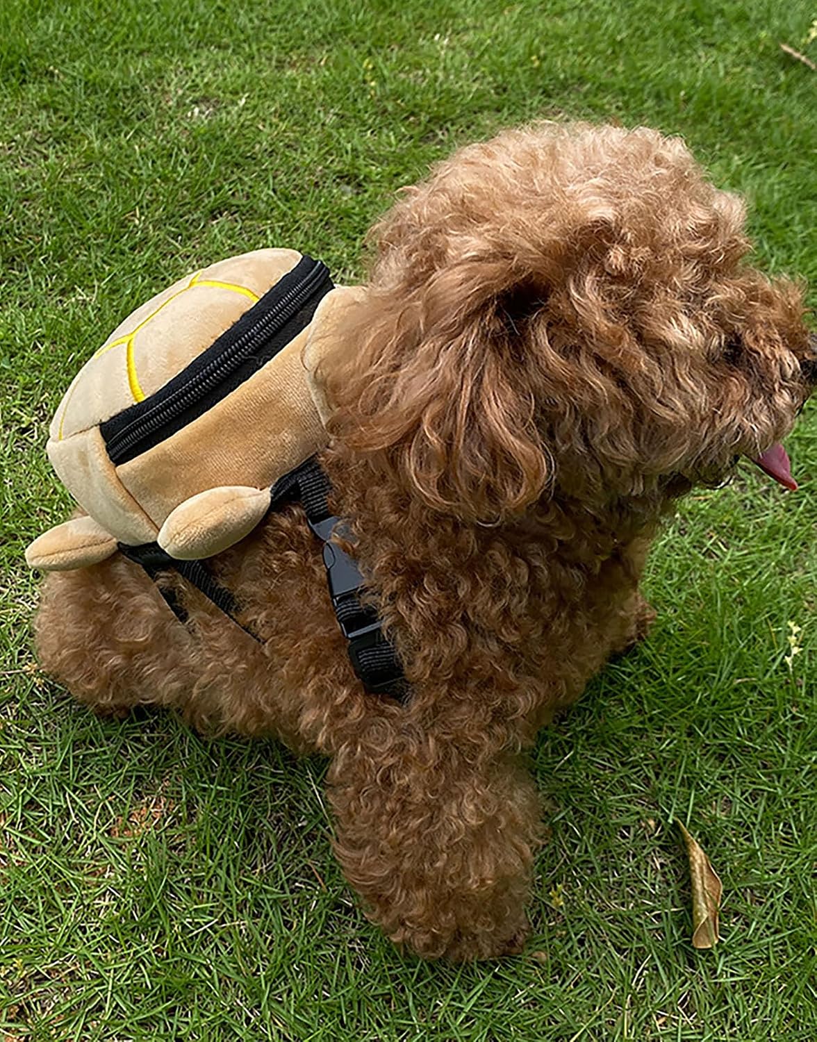 Dog Adjustable Backpack Harness with Leash Harness for Small Dogs | Cute Turtles Shape Bag Pet Carrier Backpacks for Hiking Training Daily Walking