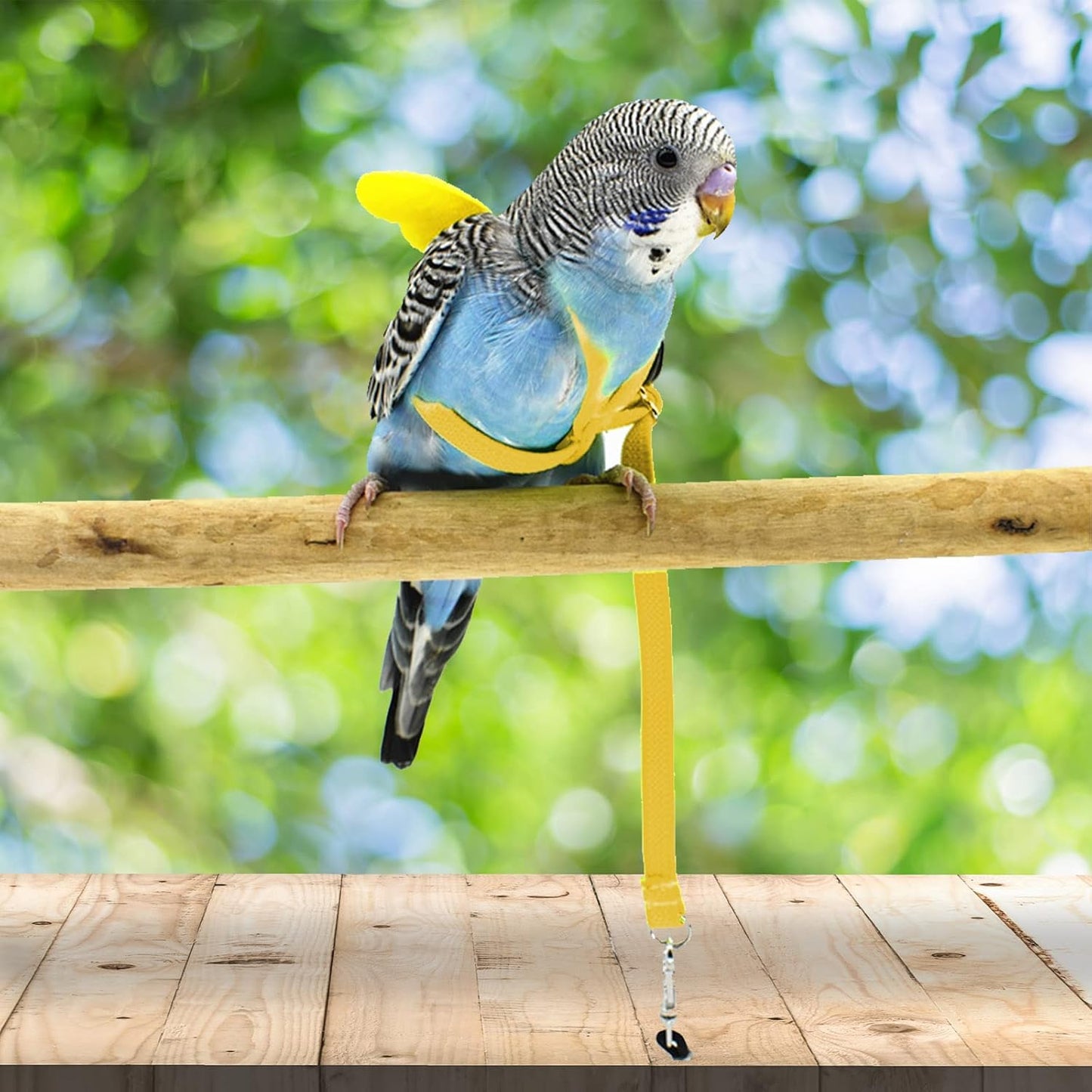 Pet Parrot Bird Harness and Leash, Adjustable Training Design Anti-Bite, Bird Nylon Rope with Cute Wing for Parrots, Suitable for Scarlet, Keck, Mini Macaw and Same Size Birds (Yellow)