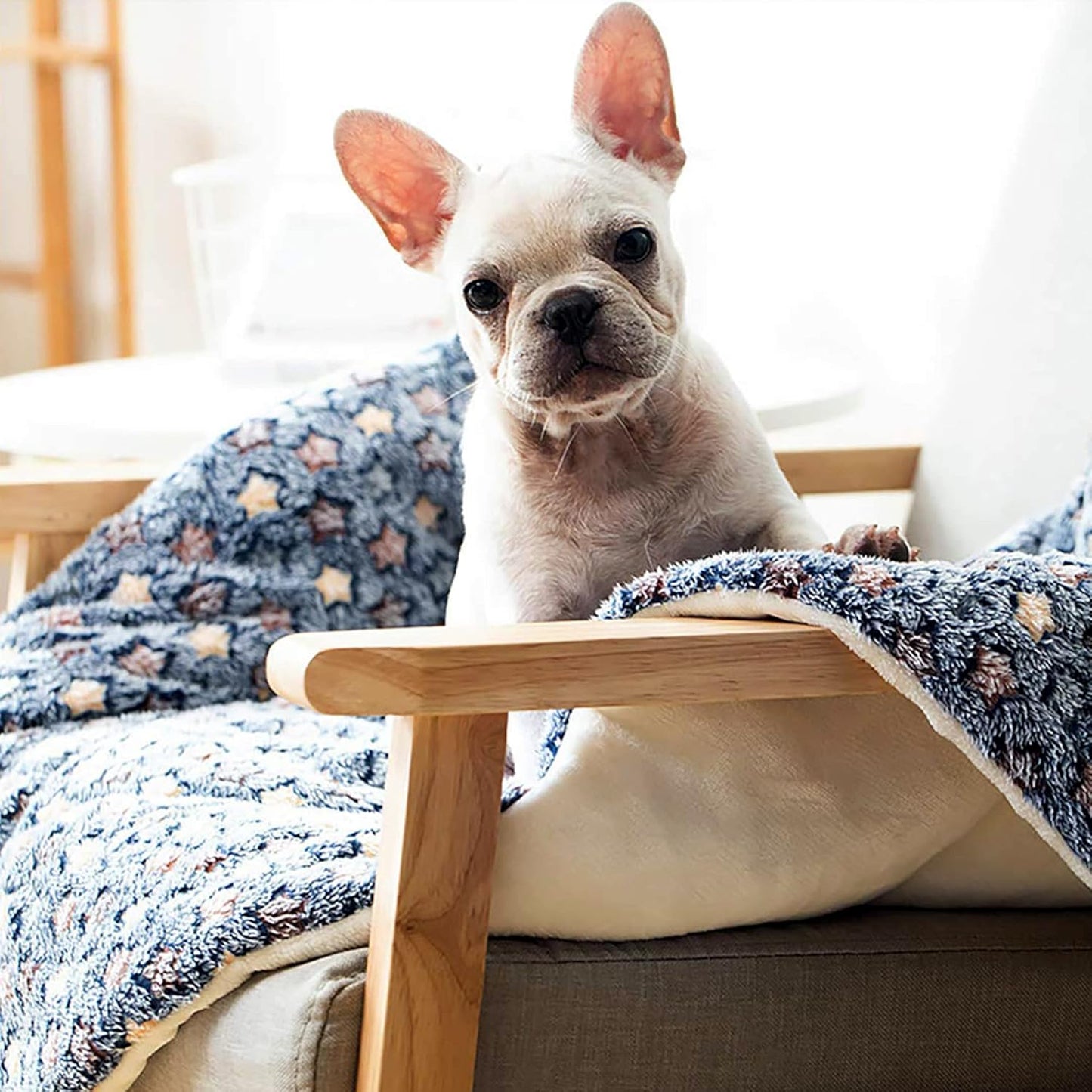 Pet Blanket Premium Fluffy Flannel Cushion Soft and Warm Mat for Dogs Cats(Star/Yellow,X-Large)