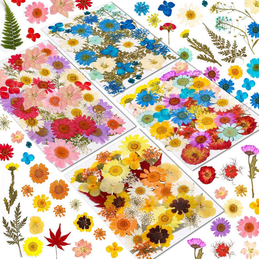 Real Dried Pressed Flowers for Resin, Natural Dry Flowers Leaves Bulk Herbs Kit for DIY Scrapbooking Stamping Supplies Epoxy Resin Jewelry Molds Candle Soap Making Nails Décor Art Crafts