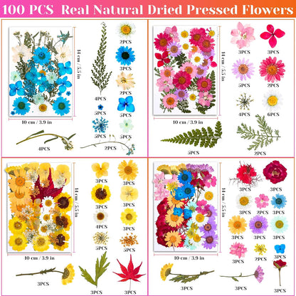 Real Dried Pressed Flowers for Resin, Natural Dry Flowers Leaves Bulk Herbs Kit for DIY Scrapbooking Stamping Supplies Epoxy Resin Jewelry Molds Candle Soap Making Nails Décor Art Crafts
