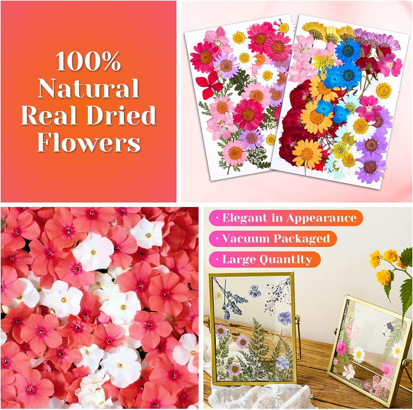 Real Dried Pressed Flowers for Resin, Natural Dry Flowers Leaves Bulk Herbs Kit for DIY Scrapbooking Stamping Supplies Epoxy Resin Jewelry Molds Candle Soap Making Nails Décor Art Crafts