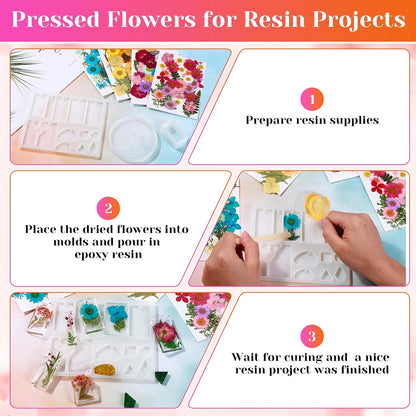 Real Dried Pressed Flowers for Resin, Natural Dry Flowers Leaves Bulk Herbs Kit for DIY Scrapbooking Stamping Supplies Epoxy Resin Jewelry Molds Candle Soap Making Nails Décor Art Crafts