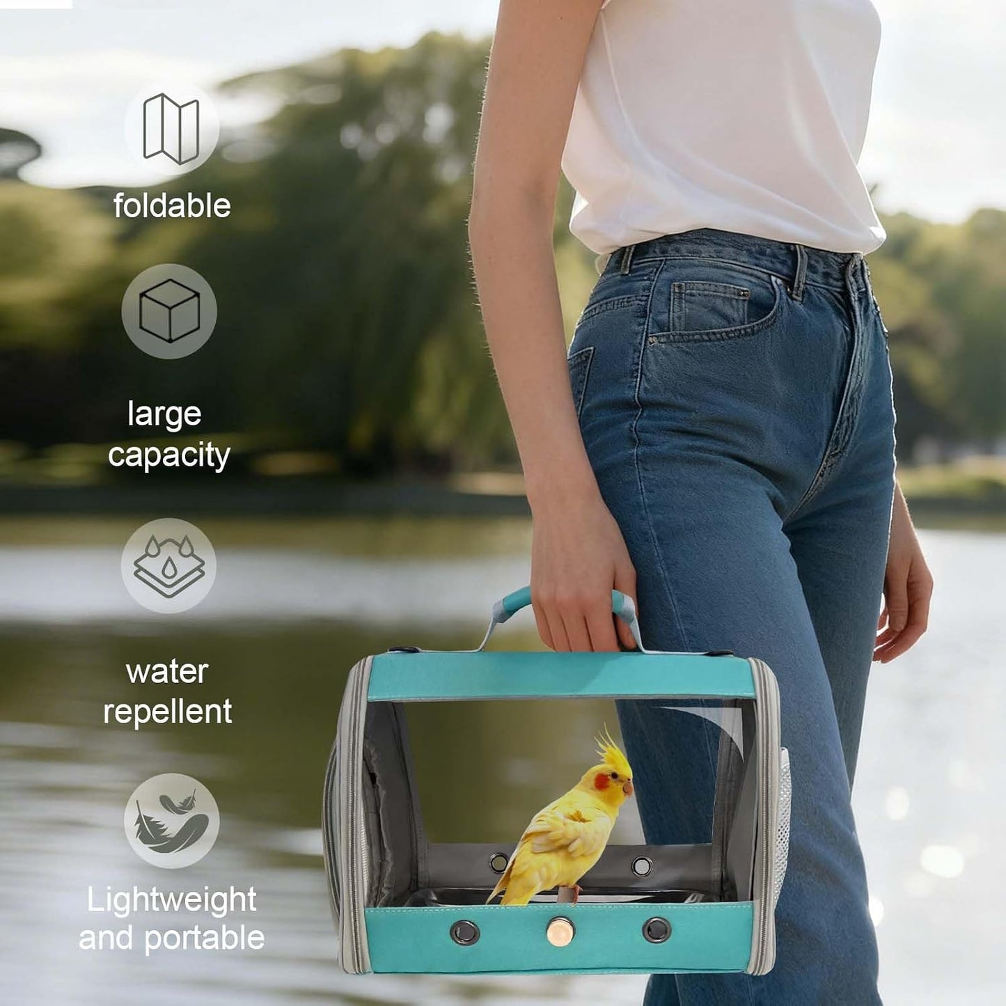 Bird Carrier, Portable Small Bird Parrot Parakeet Carrier with Standing Perch and Stainless Steel Tray, Side Access Window Collapsible (Green, Clear Windows)