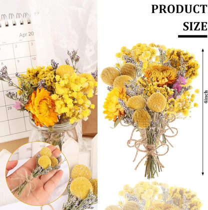 8 Pcs Mini Gypsophila Bouquets Natural Gypsophila Yellow Dried Flowers Bouquet Dry Flower&Leaves Daisy Dried Embossing Flower Bundles Plant Stem Bunch for DIY Craft,Photo Props,Wedding Card Decoration