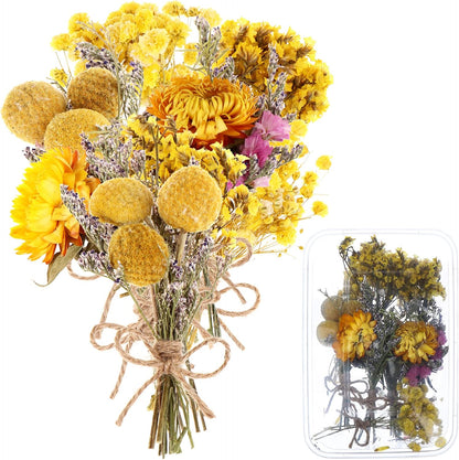 8 Pcs Mini Gypsophila Bouquets Natural Gypsophila Yellow Dried Flowers Bouquet Dry Flower&Leaves Daisy Dried Embossing Flower Bundles Plant Stem Bunch for DIY Craft,Photo Props,Wedding Card Decoration