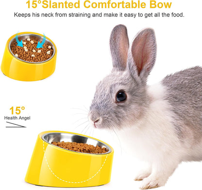 Tilted Dog Bowl Non-Slip & Non-Spill Pet Feeder with Elevated Detachable Melamine Stand, Easy to Get Food Dog Dish, S/100ml Yellow