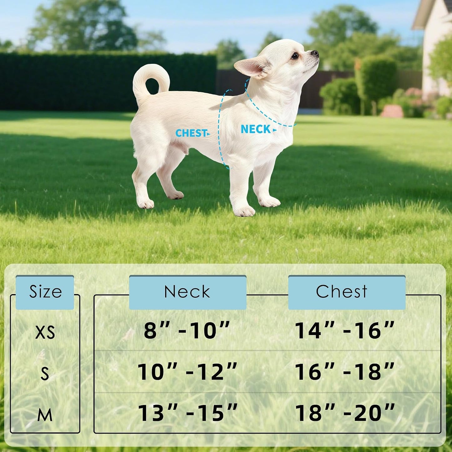 Dog Harness, Air Mesh Floral Vest Harness for 20 lbs Small Dogs & Cats, Easy Get on Adjustable Easy Closures Both Neck and Chest(Yellow Flower, XS Chest 14"-16")