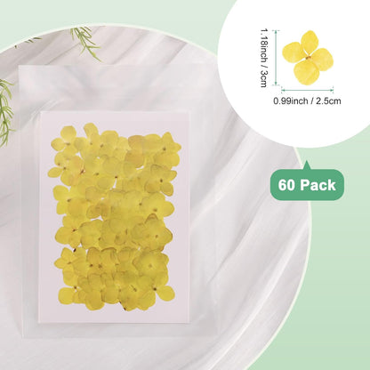 60-Pack Dried Pressed Flowers for Resin, Real Natural Bulk Dry Floral for Crafts/DIY Jewelry/Soap Making/Scrapbooking/Candle/Epoxy Resin Supplies [Yellow]