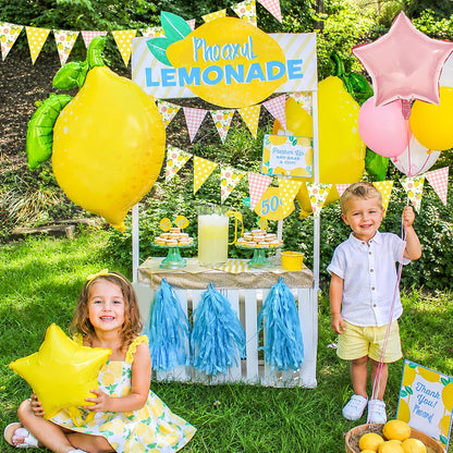 Pink and Yellow Lemon Triangle Banner Balloons Lemonade Bar Stand Supplies Amalfi Coast Hawaiian Luau Summer Birthday Party Decorations Baby Shower Freshly Graduated Lemon Themed Party Decor