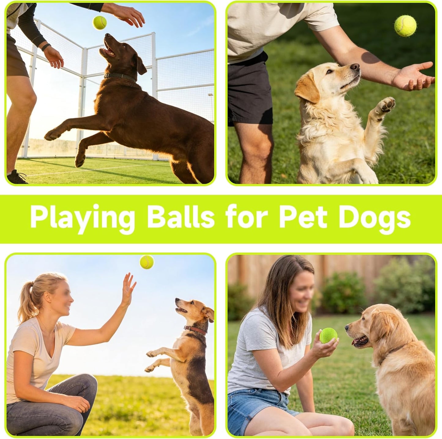Tennis Balls, 4 Pack Training Tennis Balls – Practice Balls for Beginners & Playing Balls for Dogs