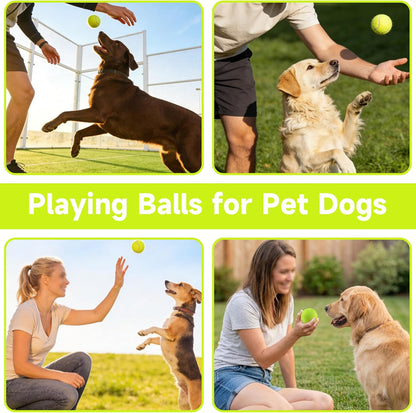 Tennis Balls, 4 Pack Training Tennis Balls – Practice Balls for Beginners & Playing Balls for Dogs