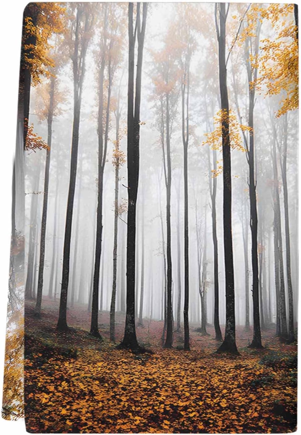 Fall Thanksgiving Kitchen Towels Forest Sunlight Soft Absorbent Dish Towel Yellow Leaves Tree Super Absorbent Soft Cotton Tea Towel 1 Pack