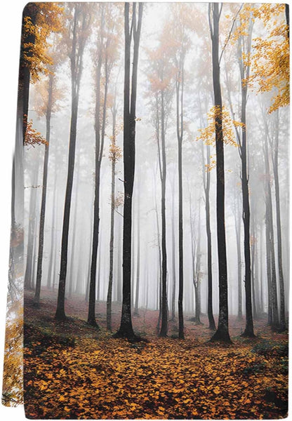Fall Thanksgiving Kitchen Towels Forest Sunlight Soft Absorbent Dish Towel Yellow Leaves Tree Super Absorbent Soft Cotton Tea Towel 1 Pack