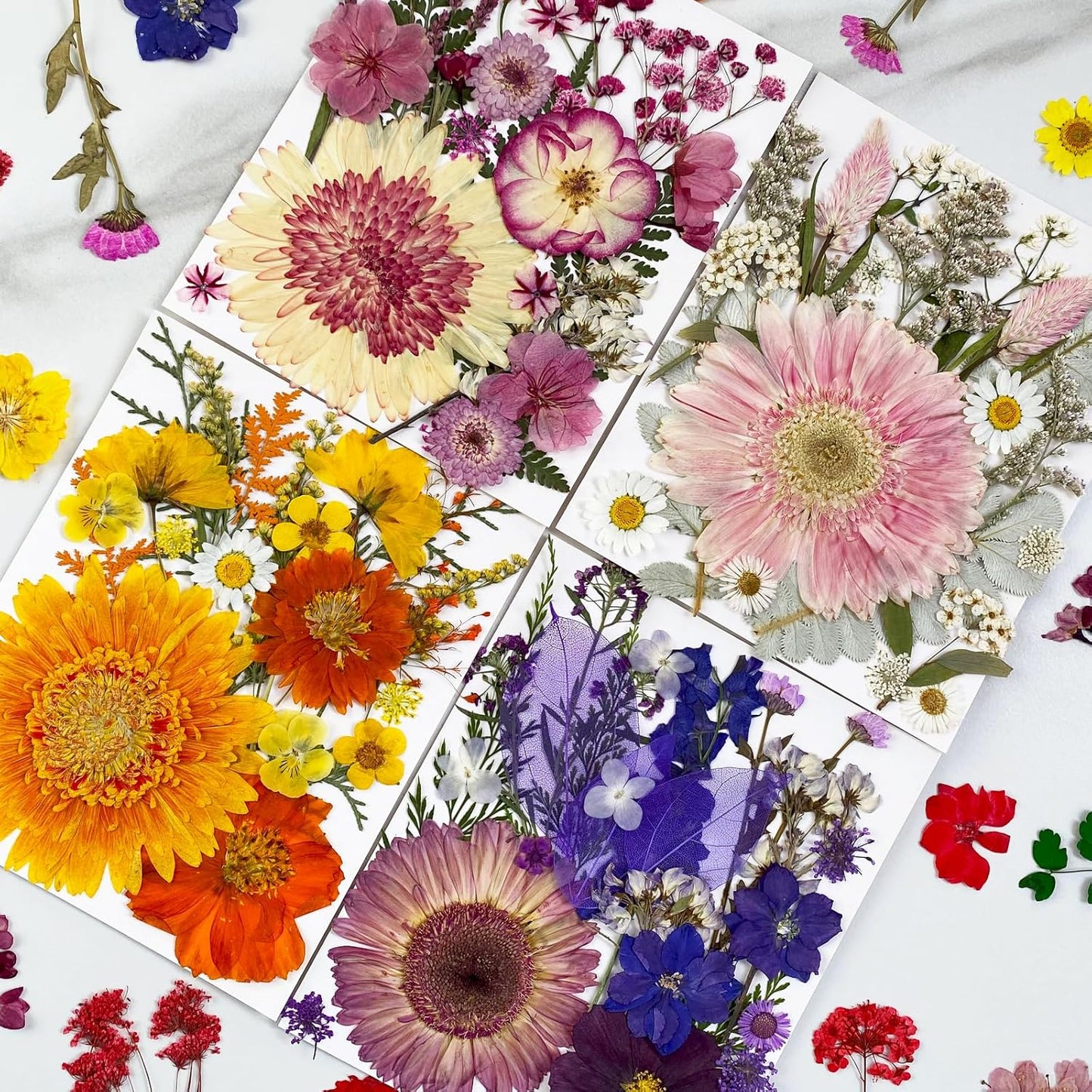 98Pcs Pressed Dried Flowers for Resin Molds, Real Natural Bulk Big Dry Floral Leave for DIY Art Crafts, Epoxy Jewelry, Candle, Soap Making, Nails Decors