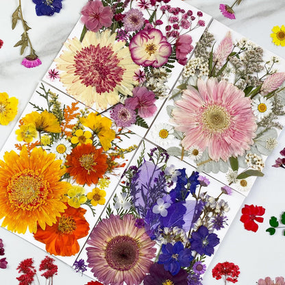 98Pcs Pressed Dried Flowers for Resin Molds, Real Natural Bulk Big Dry Floral Leave for DIY Art Crafts, Epoxy Jewelry, Candle, Soap Making, Nails Decors