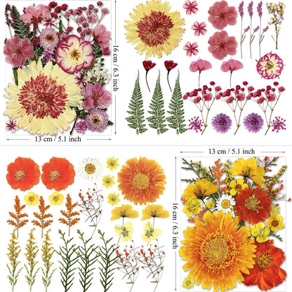 98Pcs Pressed Dried Flowers for Resin Molds, Real Natural Bulk Big Dry Floral Leave for DIY Art Crafts, Epoxy Jewelry, Candle, Soap Making, Nails Decors