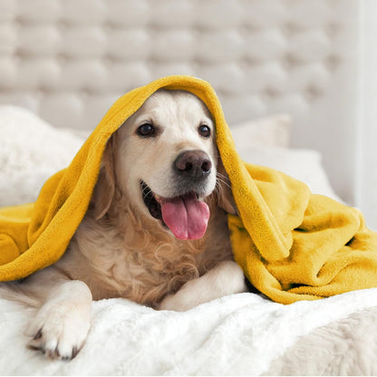 Fleece Blanket Soft Plush King Size Bed Blanket Yellow 108"x90" | Ultra Soft Fleece, Plush Microfiber, Lightweight Warmth, All Season Comfort, Fade Resistant, Machine Washable