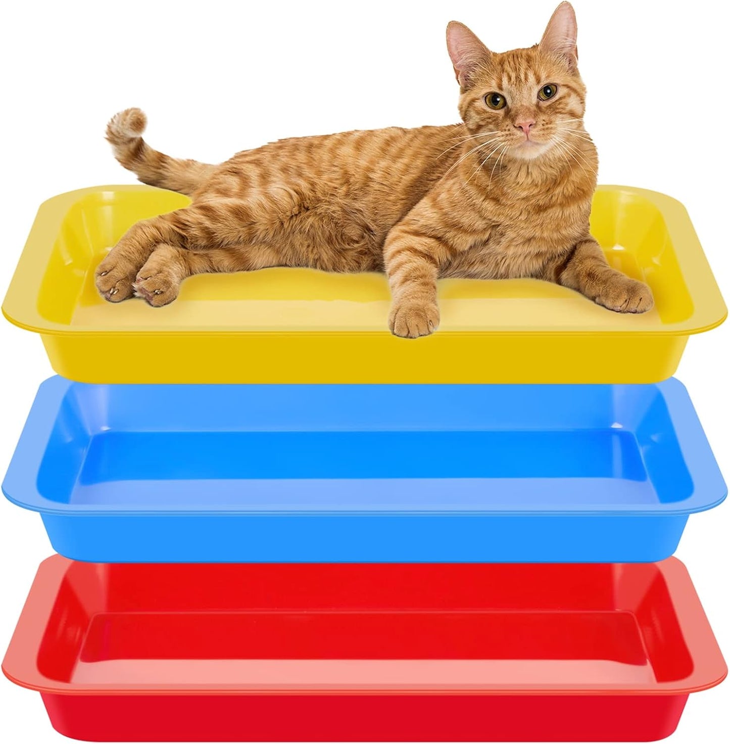 for you 3 Pcs Kitten Litter Box 17.3 x 13.6 x 1.6 Inch Shallow Low Entry Open Cat Litter Box Waterproof Plastic Small Rabbit Pan Tray Travel Toilet for Senior Cat Kitten Training