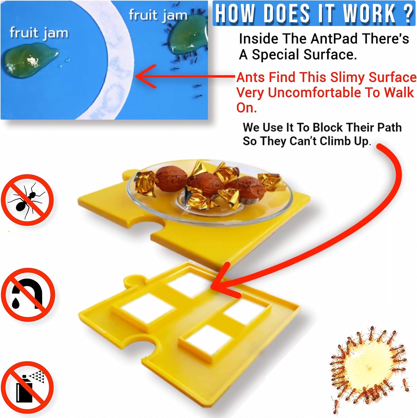 Ant Proof for Food Dish | Ant Proof Dog Cat Pet Bowl | Desktop Plant Pots and Bins No Chemical No Need Fill Water (Yellow)