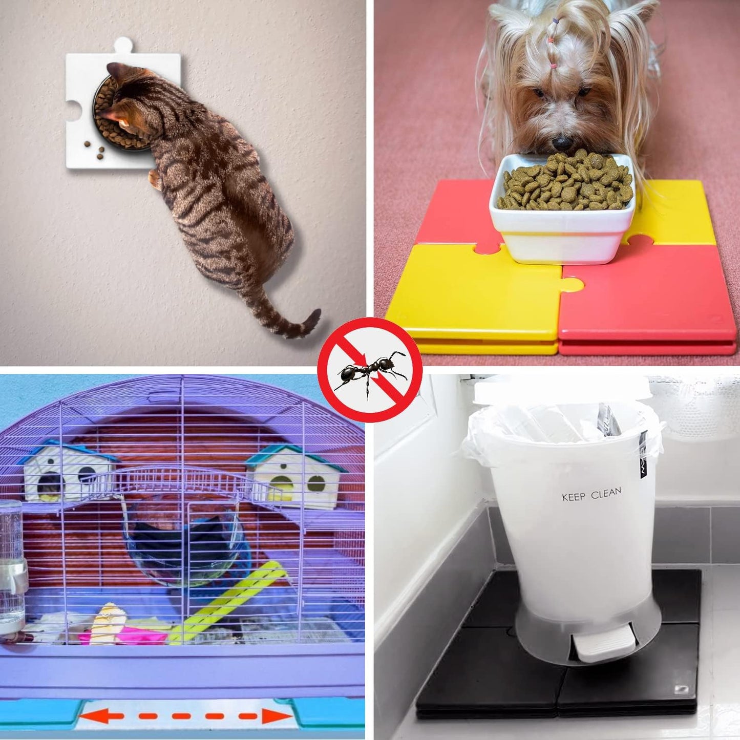 Ant Proof for Food Dish | Ant Proof Dog Cat Pet Bowl | Desktop Plant Pots and Bins No Chemical No Need Fill Water (Yellow)